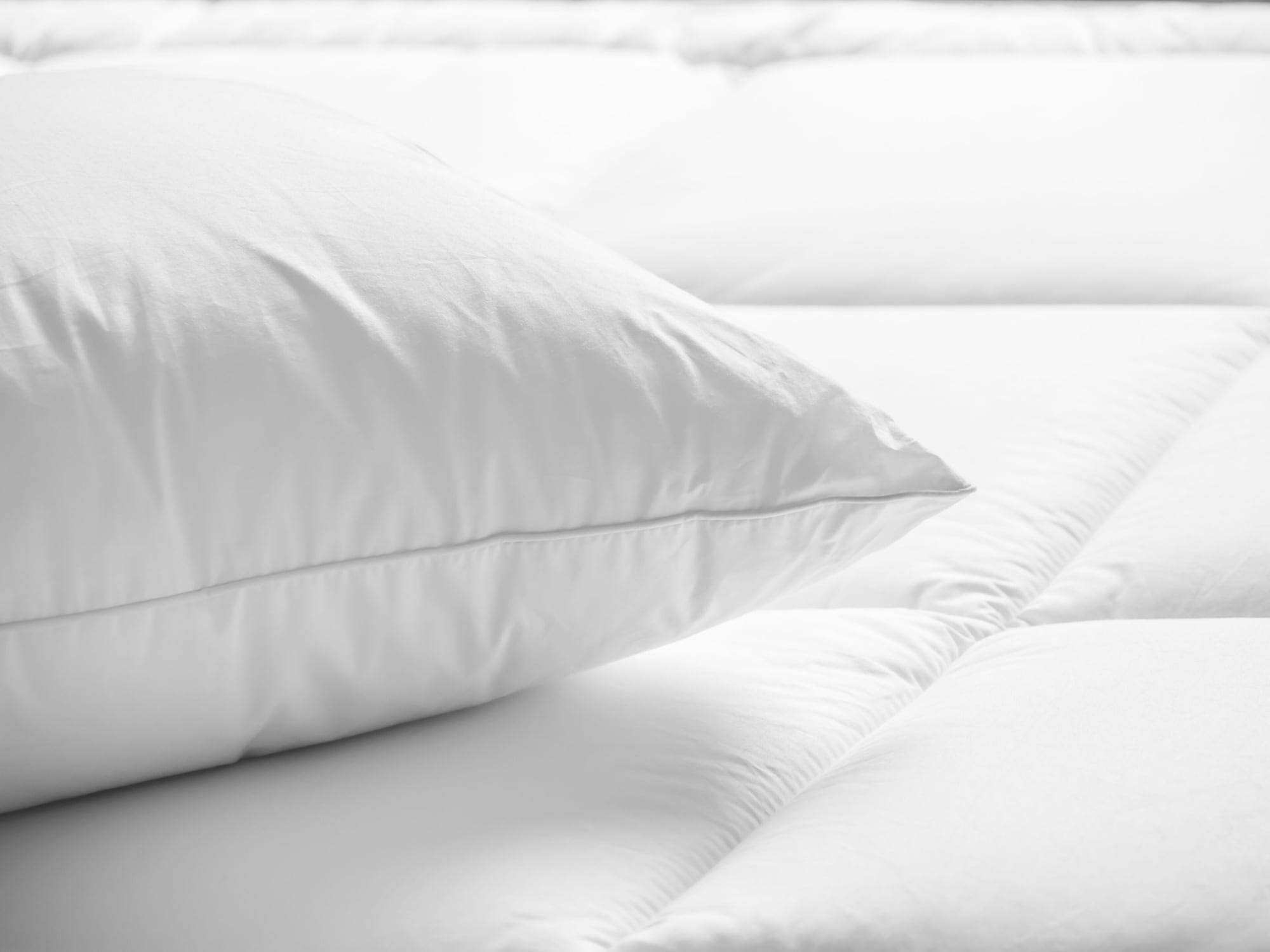 Hotel Plaza 3*